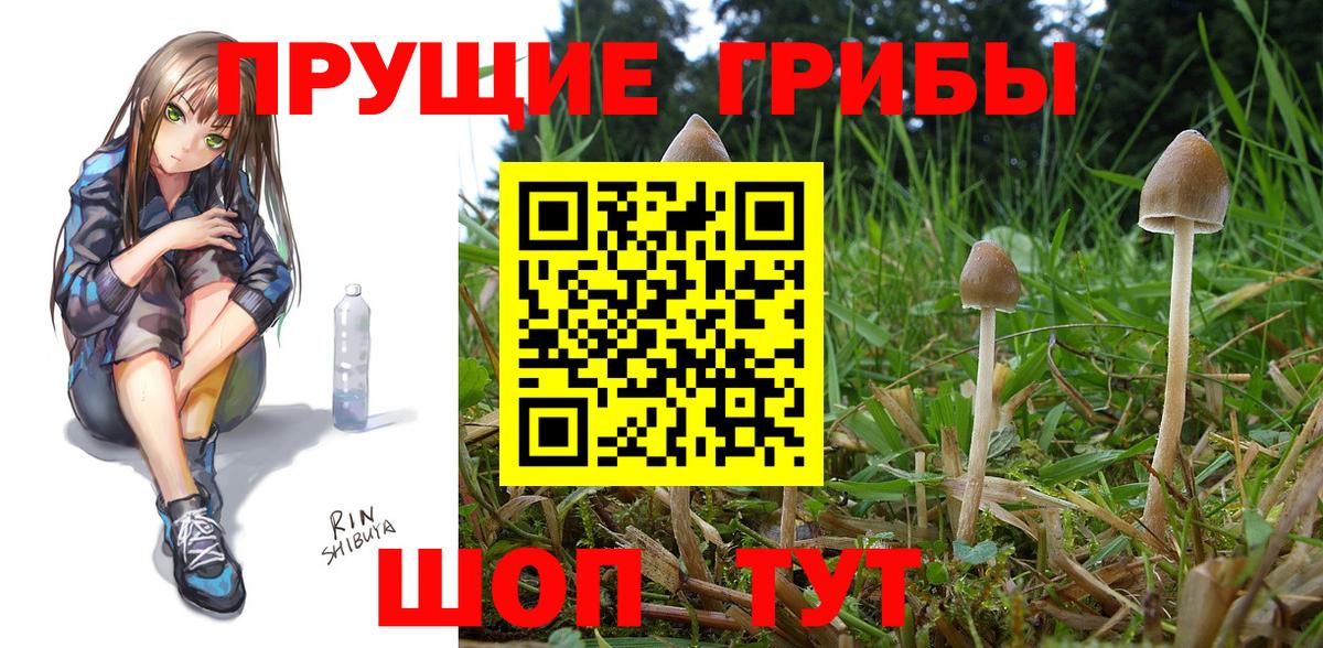 где продают наркотики  Вход с VPN  Надым  Галлюциногенные грибы мицелий 